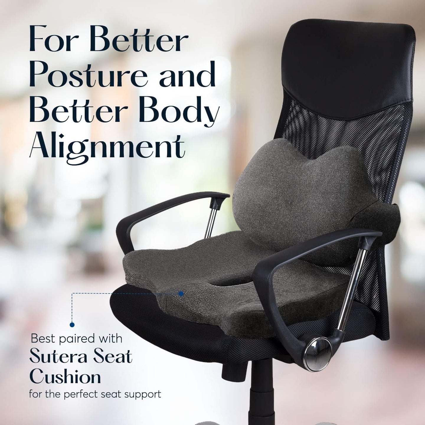 “Proper Posture” Lumbar Pillow Sutera