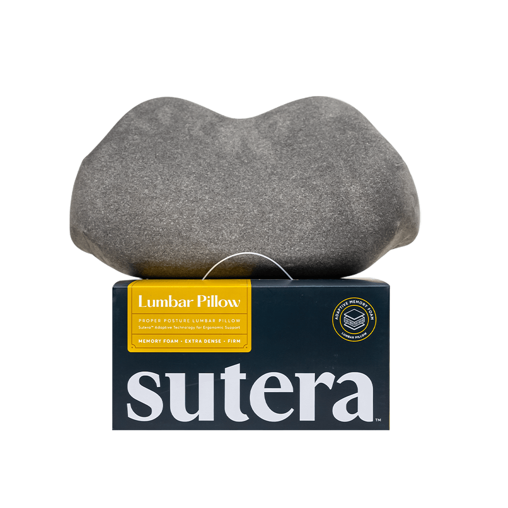 “Proper Posture” Lumbar Pillow Sutera